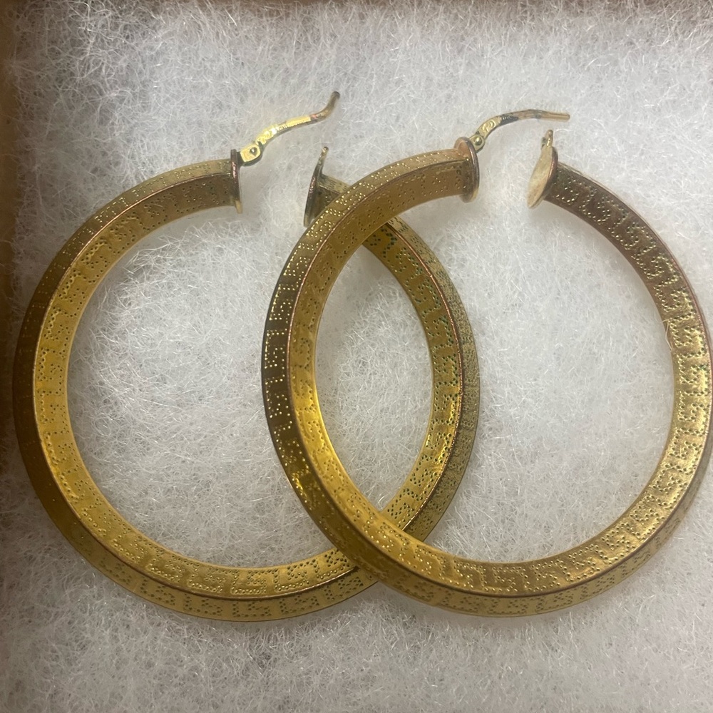 Sofia Vergara Earrings